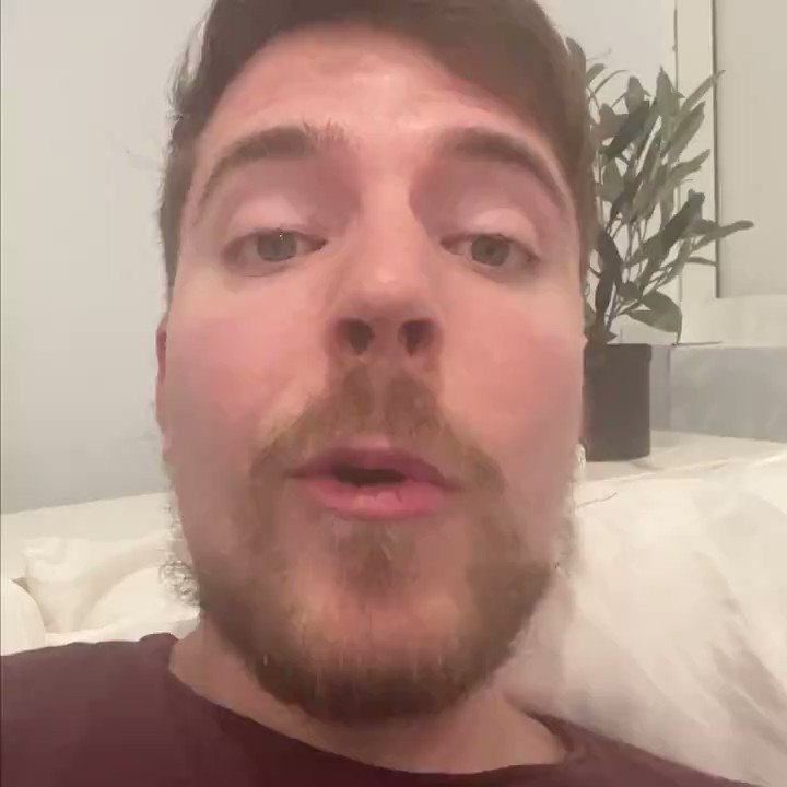 DramaAlert On Twitter MrBeast And Mark Rober Share An Update On Team dramaalert-on-twitter-mrbeast-and-mark-rober-share-an-update-on-team