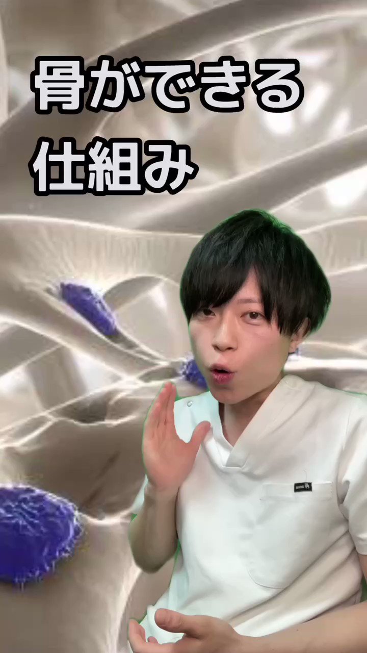 高柳 将人 (yanagin103) / Twitter