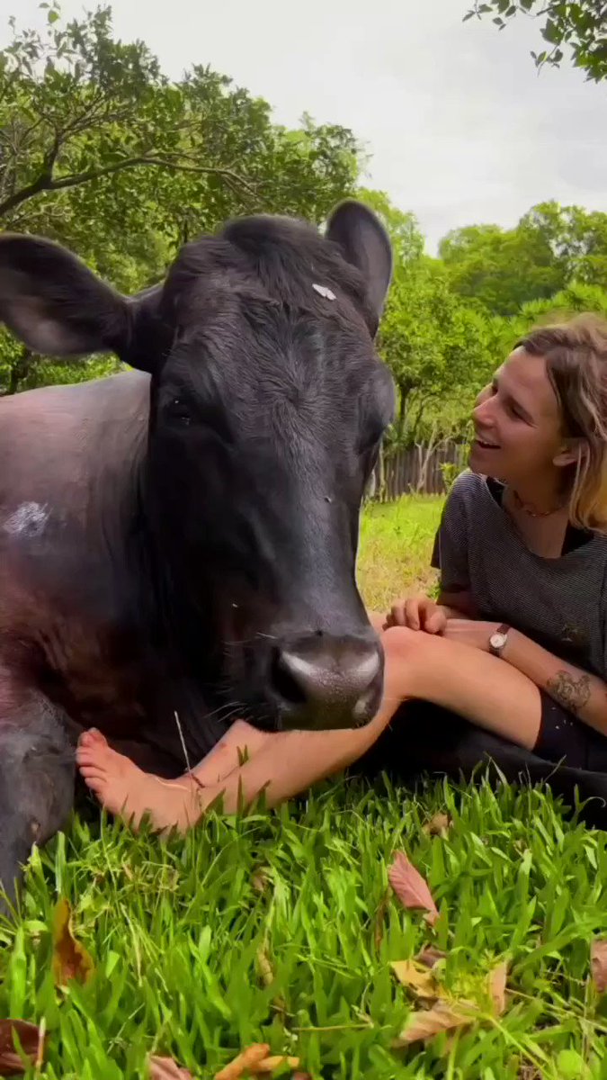 Dwayne Johnson on X: Ok, I was not expecting that from my moo cow friend ๐ ๐คจ๐๐๐พ๐๐พ๐๐พ / X