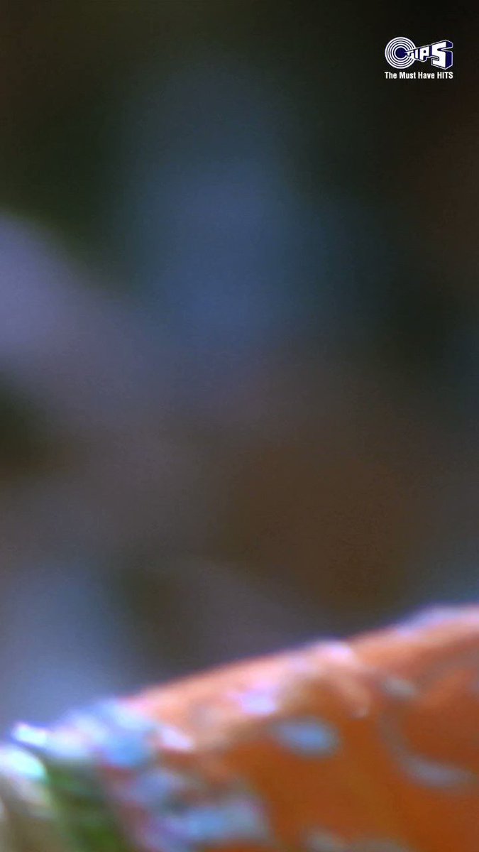 Bhumika Chawla — Just B (@bhumikachawlat) / Twitter