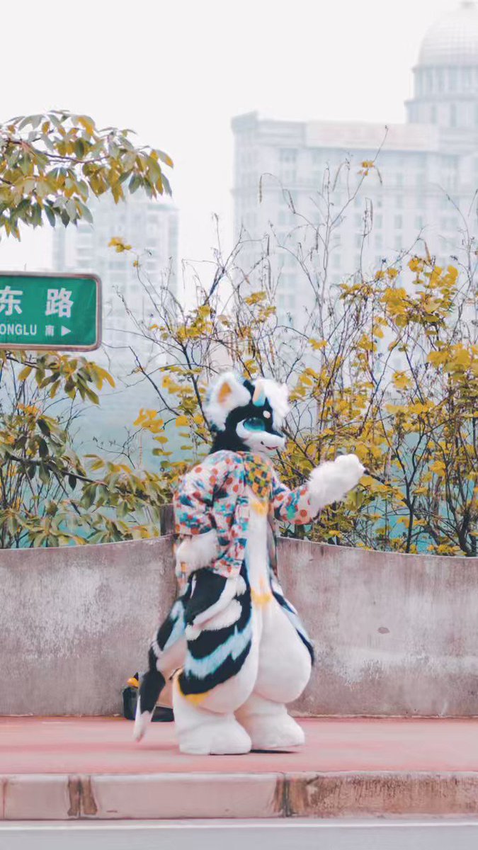 裸舞极乐净土-搜索结果