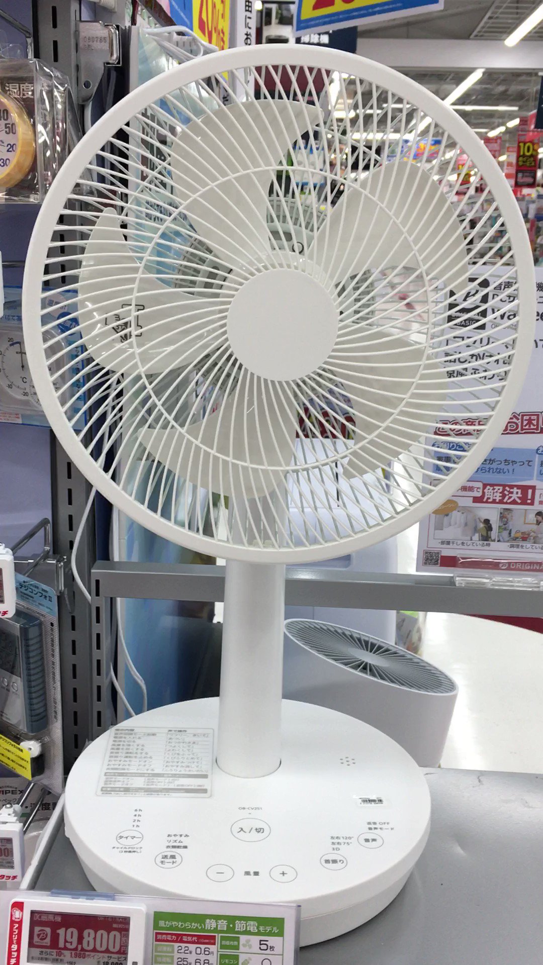 せんぶき せんぶきまげ】 「せんぶき」とは博多弁で 「わけぎ（分葱