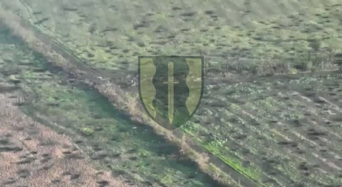MilitaryLand.net on Twitter: "🎥Ukrainian 24th Assault Battalion Aidar ...