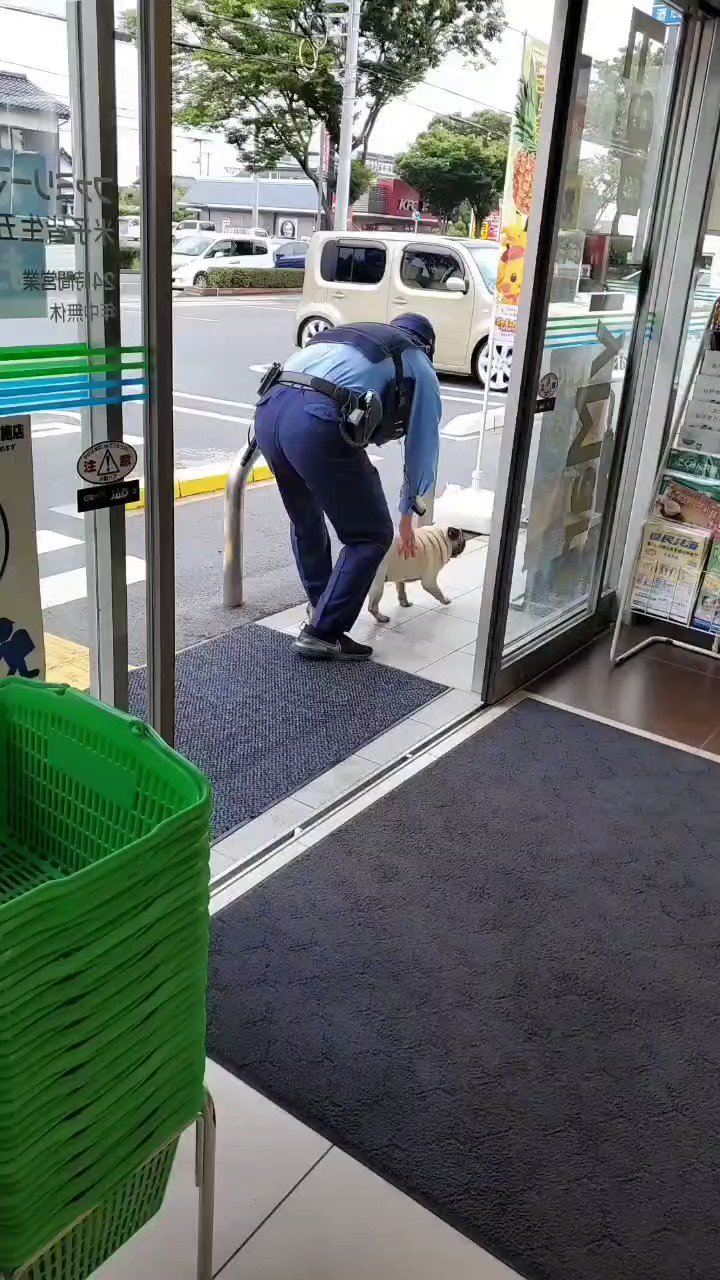 パグのさと (@yorutosato) / X