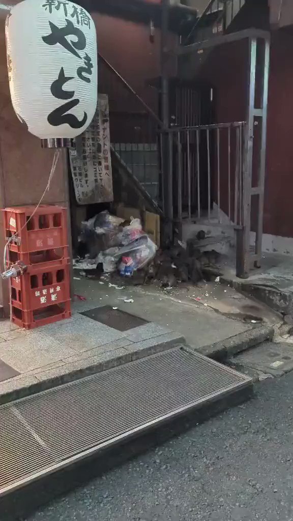 Video by @bakusai_com