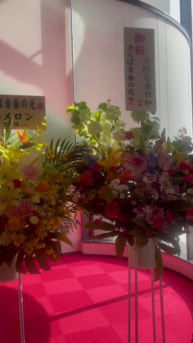 さらば青春の光 すご六 大阪公演05 25 二枚 芸能 | viventre.com.br