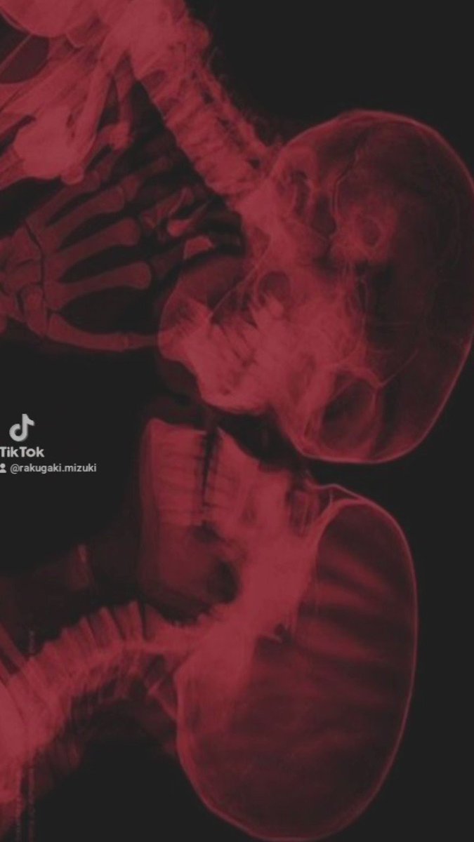 お迎え宜しくお願い致します