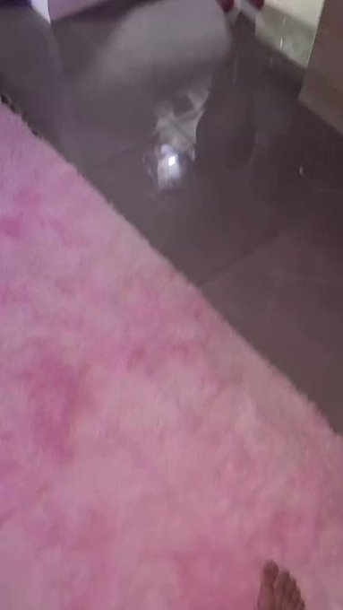 https://t.co/hJEloA1ApA https://t.co/UuJOsfvXZa