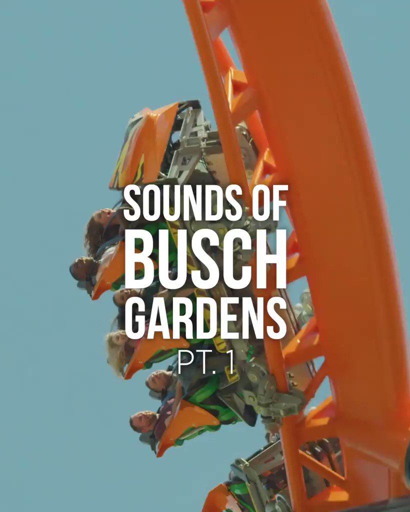 Busch Gardens Tampa Bay (BuschGardens) / Twitter