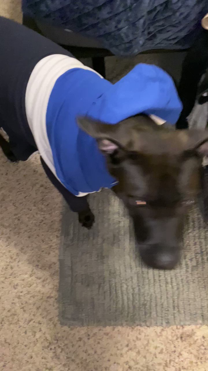 Boy Toy Named Troy 👅 (THE_TroyBolten) / Twitter