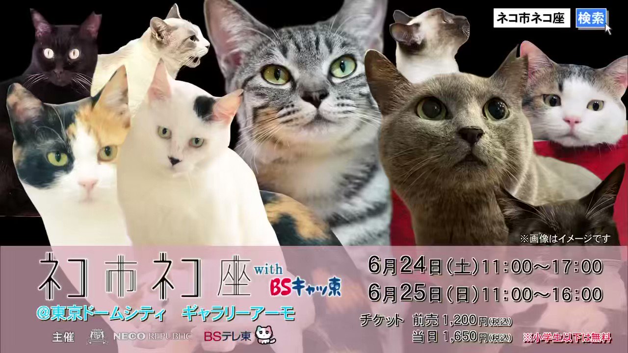 ねっこ屋 (@necco_ya) / X
