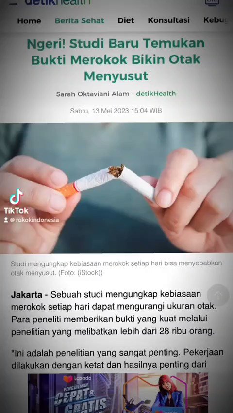 Rokok Indonesia On Twitter Stop Merokok Lur Nanti Otaknya Menyusut Rokok Indonesia On Twitter Stop Merokok Lur Nanti Otaknya Menyusut