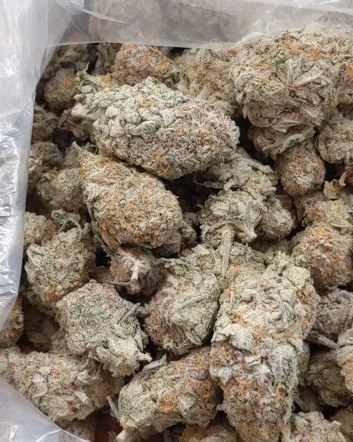 Dr OG marijuana Delivery Service on Twitter "Zkittlez THC 15_23,is