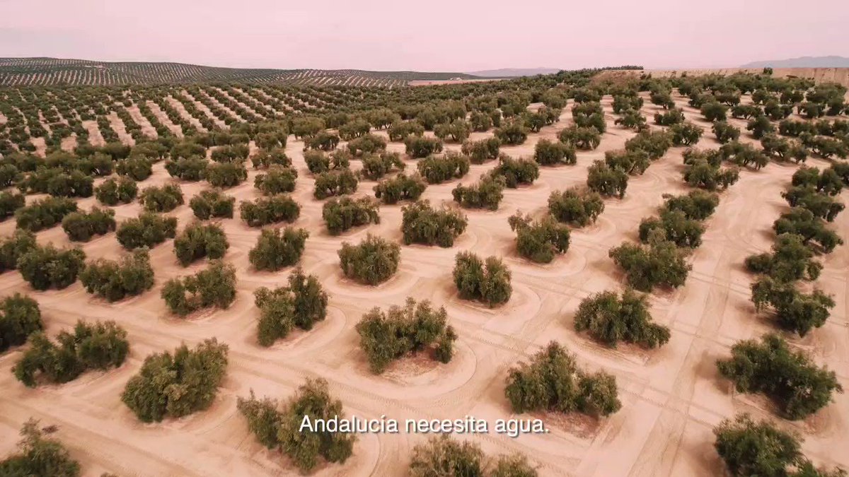 Acciones del Gobierno de la Junta de Andalucía contra la sequía