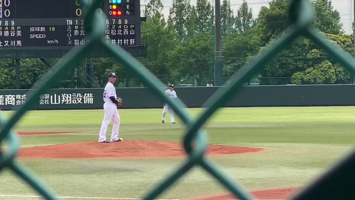 @swallows716's video Tweet