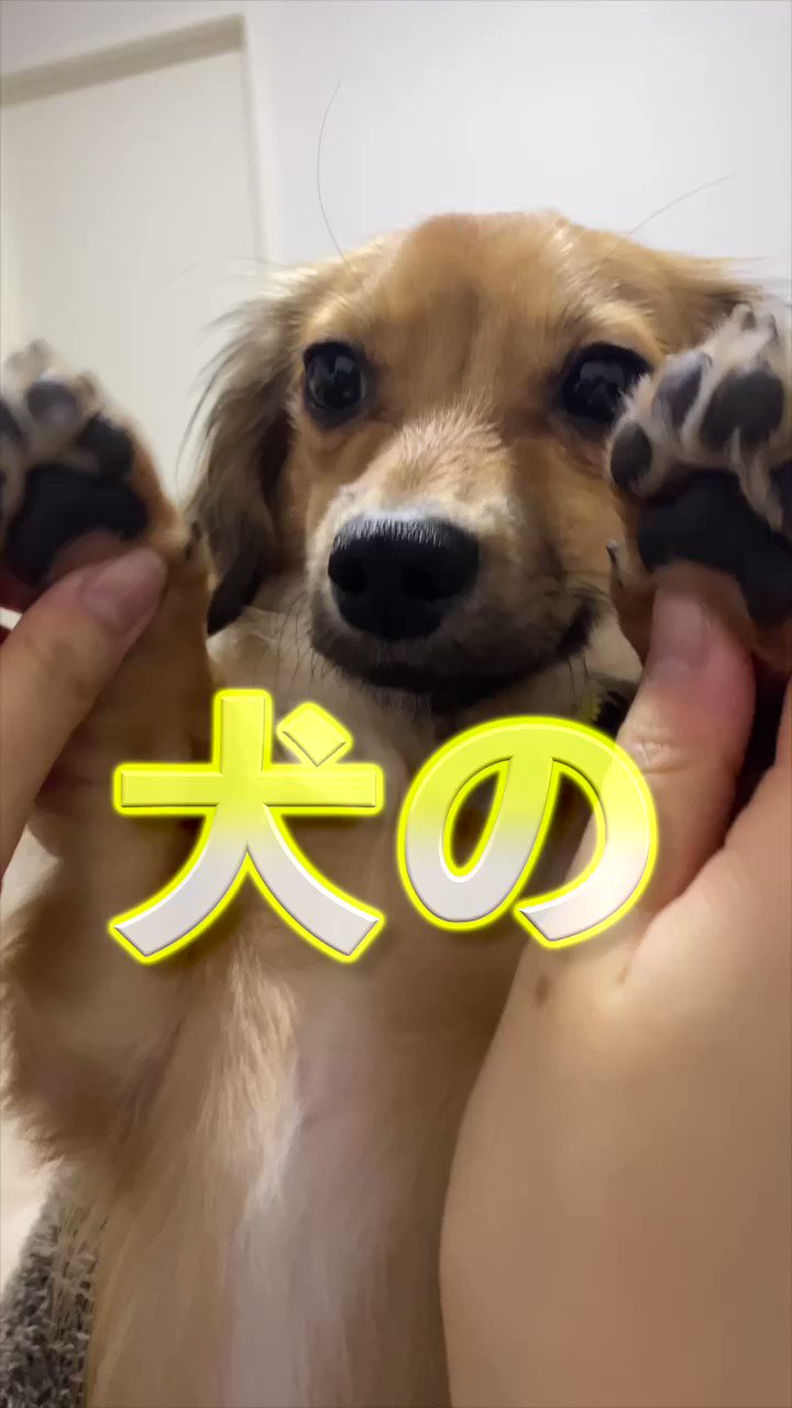 @kotaroo2325's video Tweet