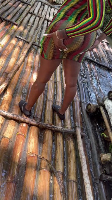 Willie Lee’s pics and videos