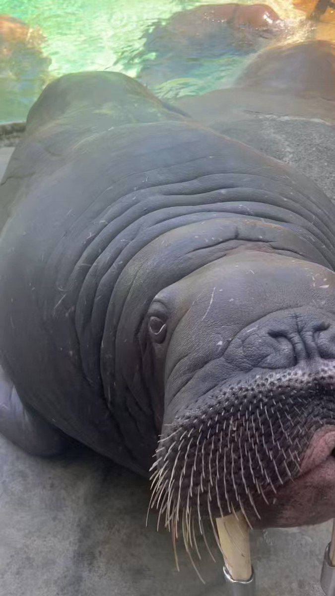 Multidimensional Intelligence/superConsciousness on Twitter: "RT