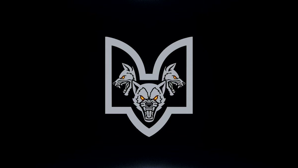 Вовки Да Вінчі on Twitter: "🐺Медична служба «УЛЬФ» Під обстрілами, за ...