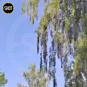 Re: [情報] 烏克蘭以多架自殺無人機空襲莫斯科