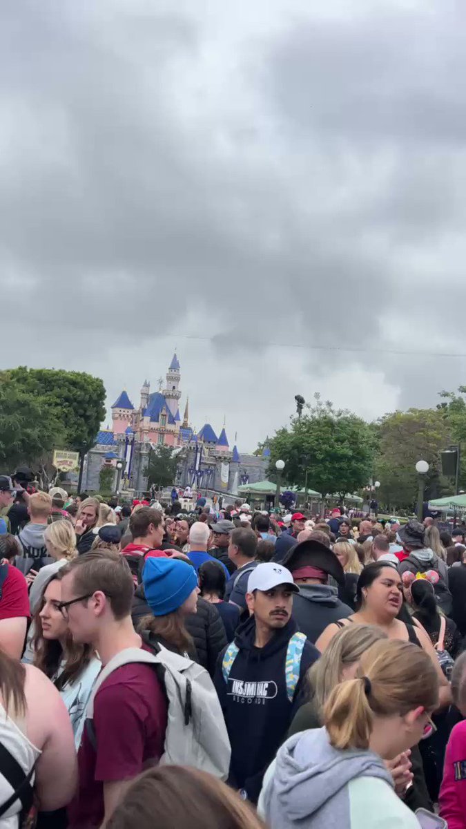 Disney Food Blog on Twitter "How’s THIS for a Disneyland crowds check