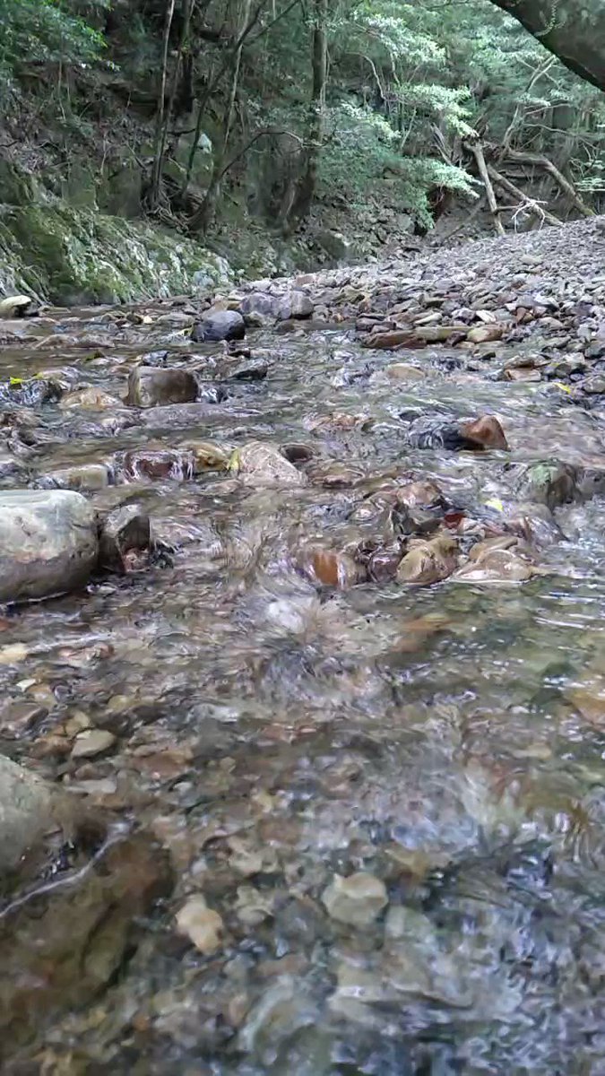 水辺の風景をお届けしています。 定期的に投稿していますので、水辺の風景がお好きな方は、ぜひフォローしてください(^^) YouTubeも併せてフォローお願いします(^^)