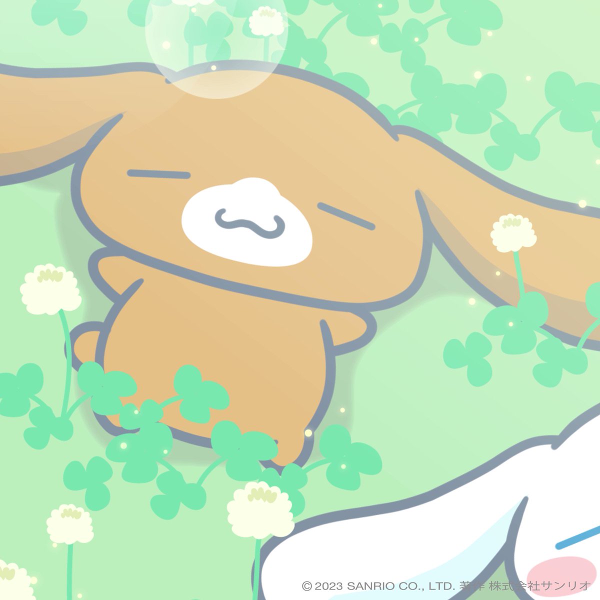 シナモン【公式】 on X: 