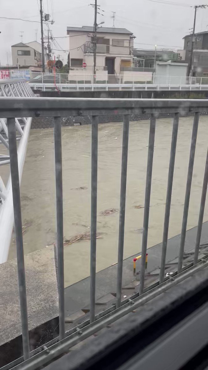 +澄麗+すみれ on Twitter 