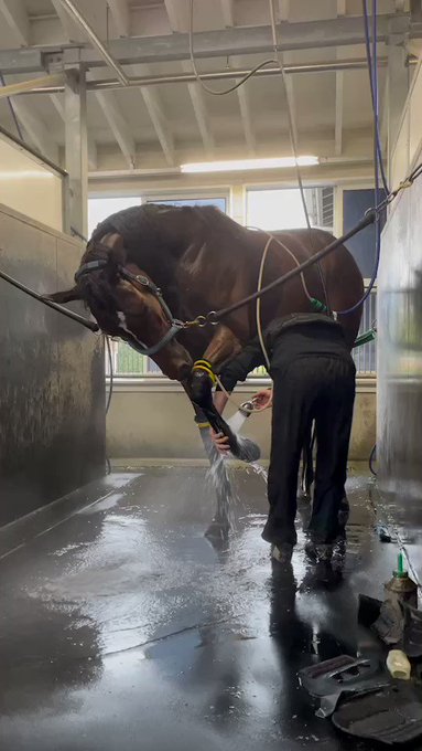 想い出馬券ホルダー キーホルダー 記念馬券 思い出 競馬 第73回 2023