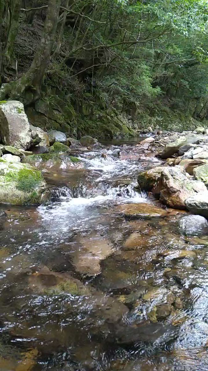 水辺の風景をお届けしています。 定期的に投稿していますので、水辺の風景がお好きな方は、ぜひフォローしてください(^^) YouTubeも併せてフォローお願いします(^^)