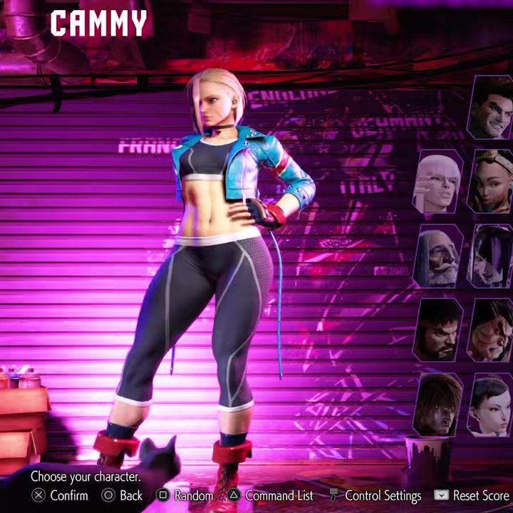 Can You Pet the Dog? on X: In Street Fighter 6, Cammy's cat will come to  greet her on the character selection screen. If the player hits the confirm  button, Cammy will