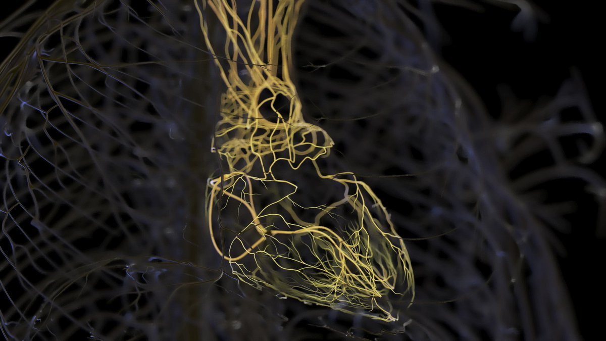 Sciepro on twitter discover the intricate web of internal and