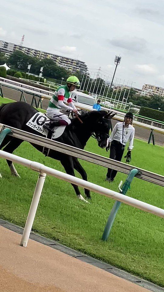 89%OFF!】 JRA 2023年 第73回安田記念 想い出馬券ホルダー