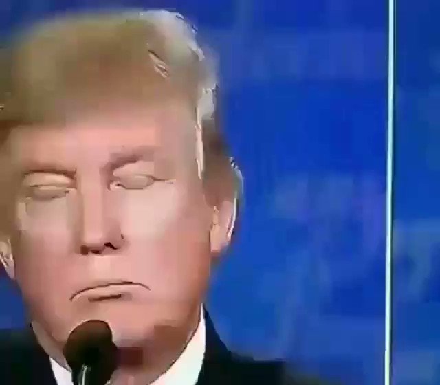 Santa Trump!⭐️⭐️⭐️(Sarah McNamara) on Twitter "I saw a camera pixel