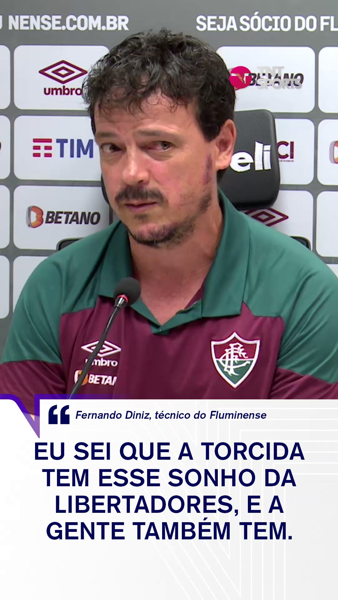 Diniz não condena vaias e valoriza classificação do Fluminense na  Libertadores: 'Fomos líder no grupo mais difícil', Fluminense