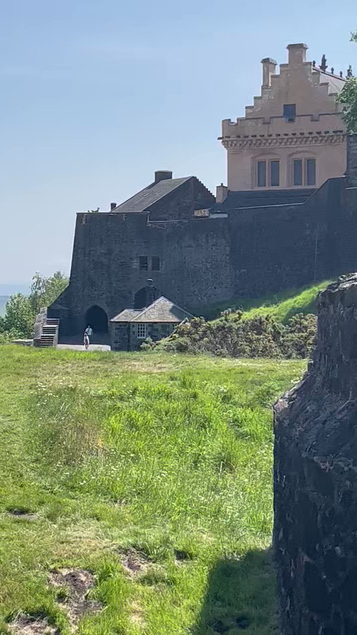 Toledo Mud Hens on Twitter "Here's how we lineup on Saturday night 1. JustynHenry Malloy, LF 2