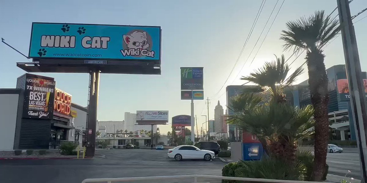 Wiki Cat on Twitter "Hello Wiki Cat WKC What happens in Las Vegas