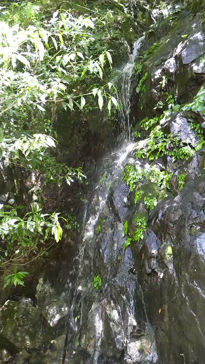 水辺の風景をお届けしています。 定期的に投稿していますので、水辺の風景がお好きな方は、ぜひフォローしてください(^^) YouTubeも併せてフォローお願いします(^^)