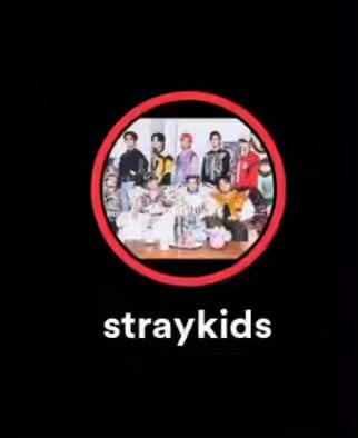 Stray Kids Stickers / Stray Kids Album Stickers / Stray Kids Logo