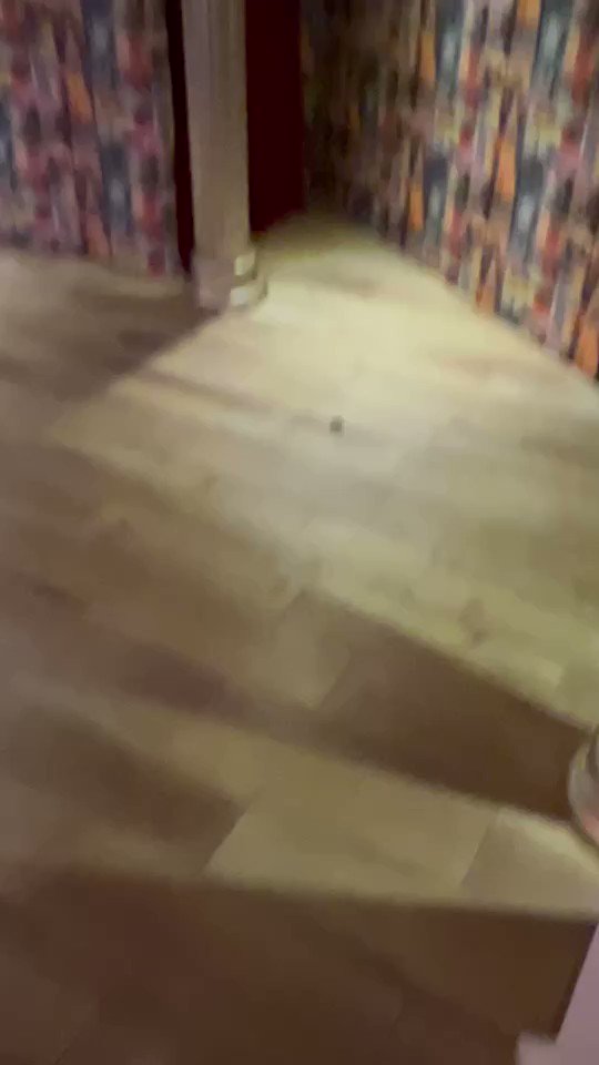 開毒趴台灣傳播    