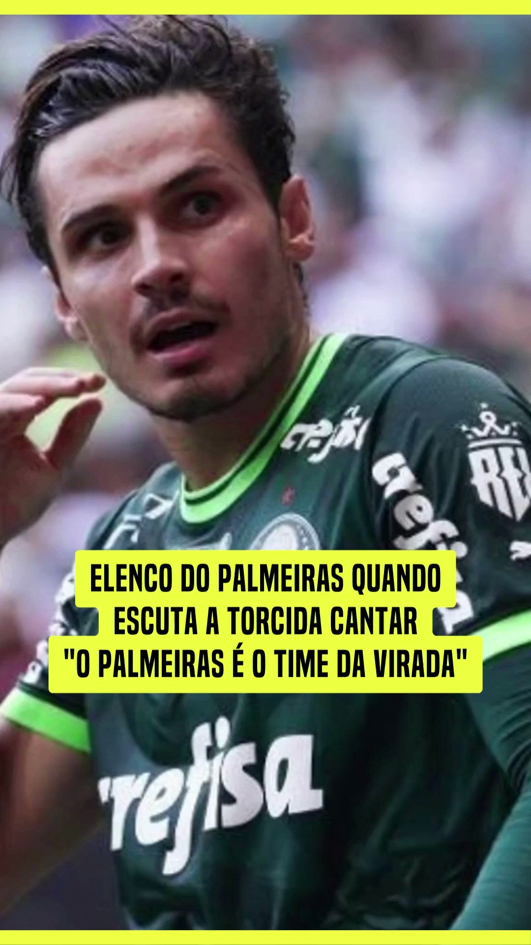 🐶 TaH Beleza 🌊🍺 on X: #HojeEuToAfimDe lembrar que o Palmeiras não tem  mundial.  / X