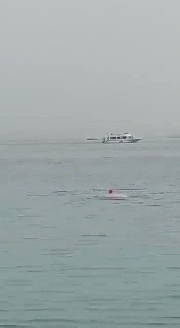 That Guy Shane on Twitter: "We really did witness something straight