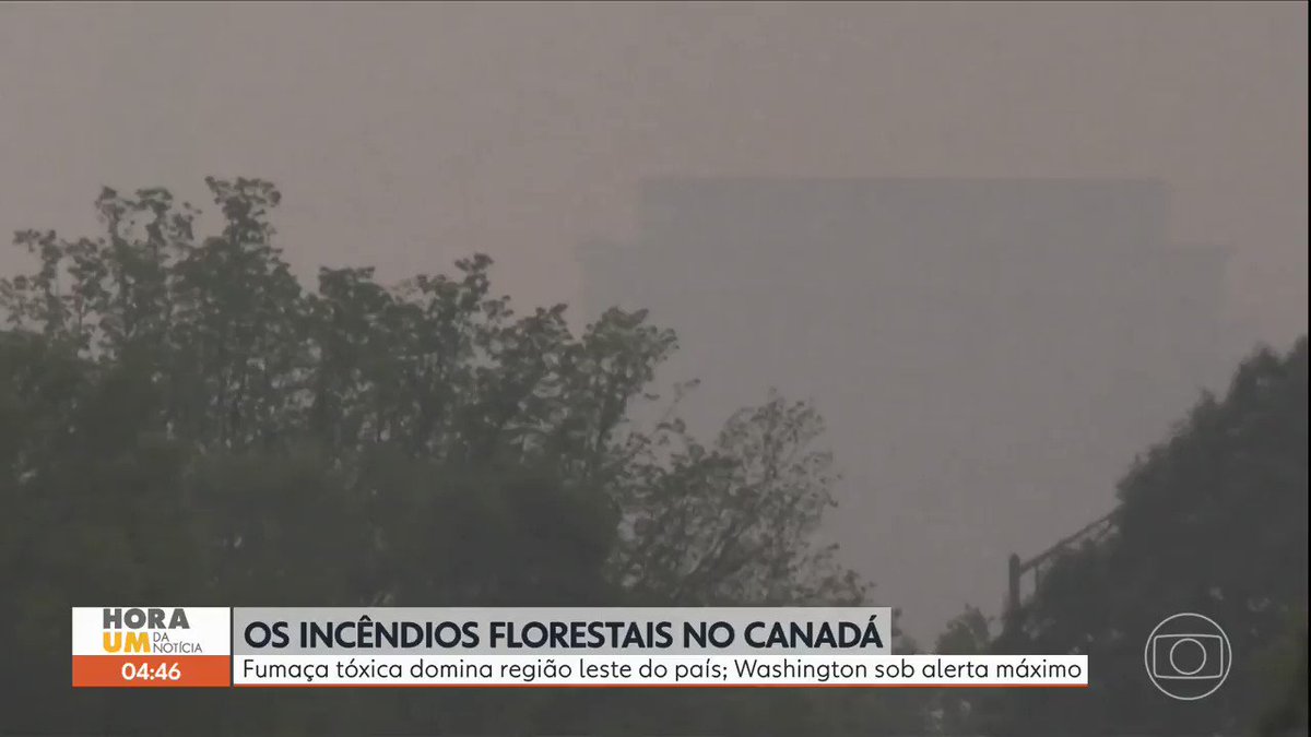 Fumaça de incêndios florestais nos EUA é mais tóxica do que se pensava