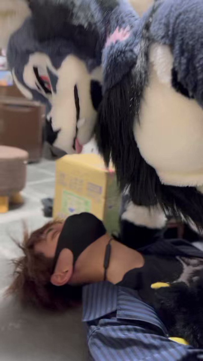 ケモノ　着ぐるみ　スニーカー Amazon.co.jp: [エアーズCOS] ケモノ 着ぐるみ フルスーツ