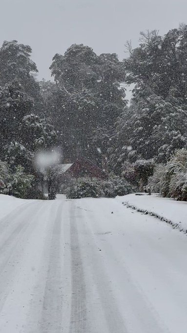 Hoy en medio de la nevada,  #Bariloche   Sos hermoso ❤️❄️ https://t.co/rlw4QmlUkM