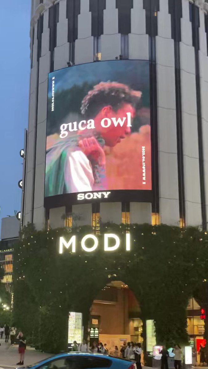 大切な人へのギフト探し guca owl ROBIN HOOD STREET LP rusinova.pl