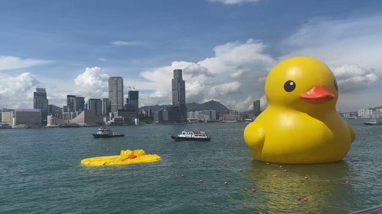 Two giant rubber ducks debut in Hong Kong in bid to drive double