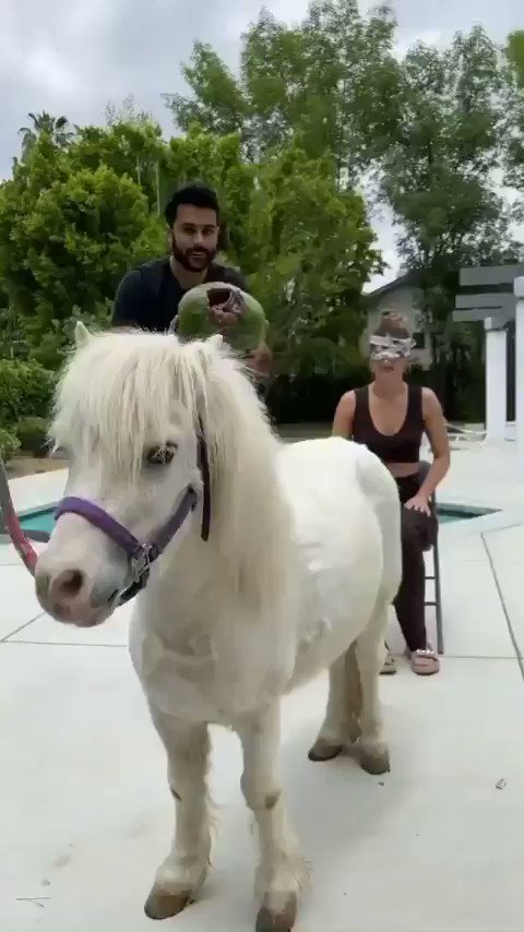 Video oleh @tannokasa4