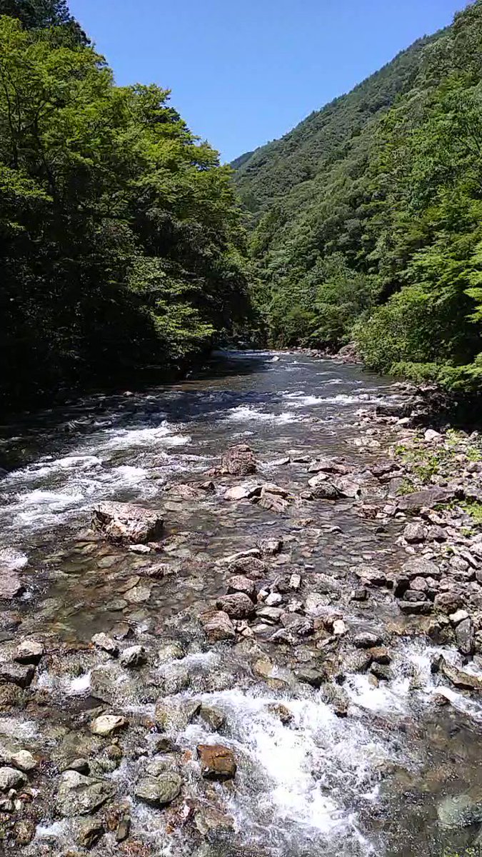 水辺の風景をお届けしています。 定期的に投稿していますので、水辺の風景がお好きな方は、ぜひフォローしてください(^^) YouTubeも併せてフォローお願いします(^^)