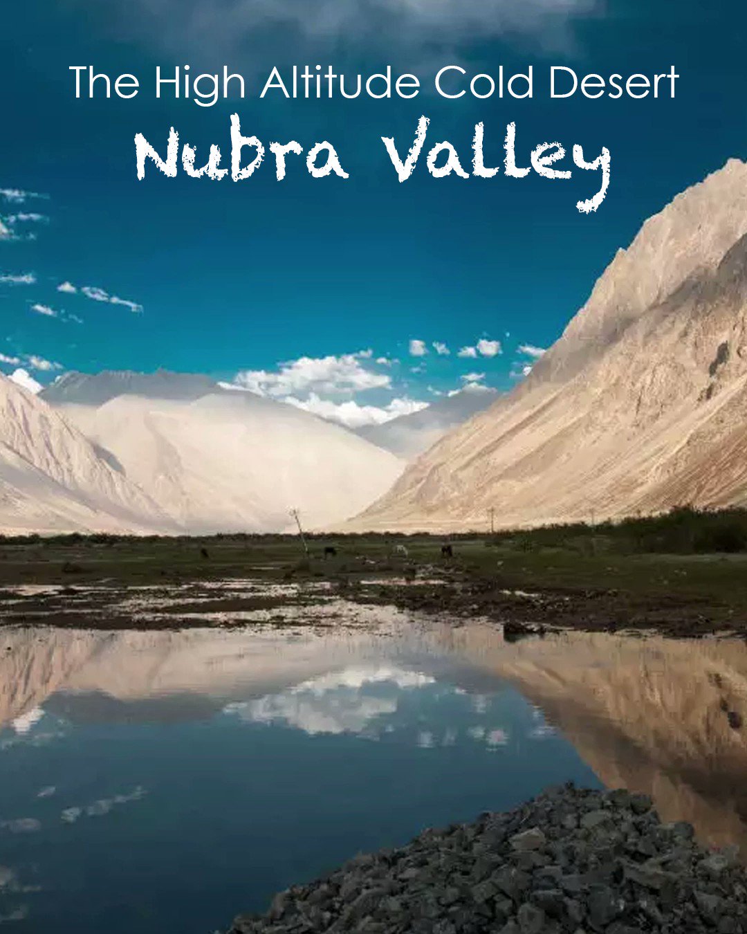 DD News on X: #WATCH  The Nubra Valley in Leh, Ladakh is one of the most  revered valleys in India. The Valley is famous for its enchanting views and  the famous